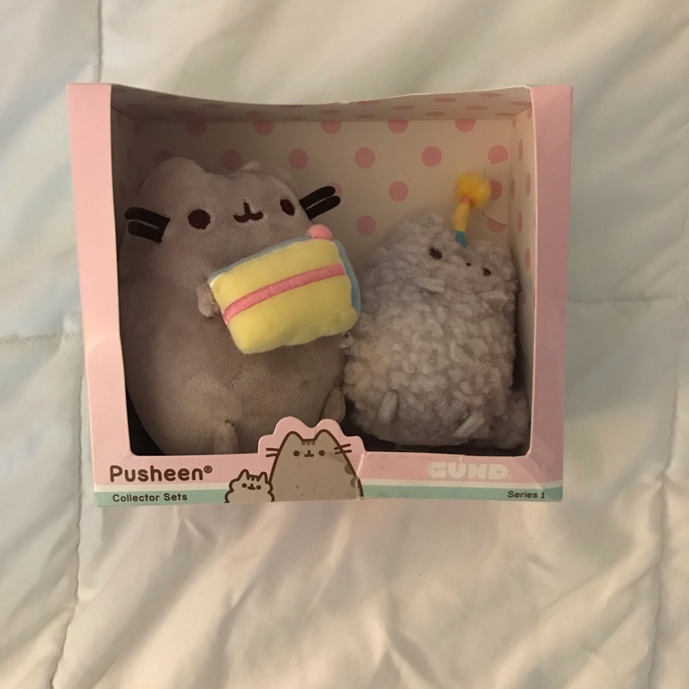 Pusheen and stormy birthday collector set
